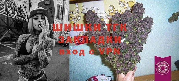 мдпв Вяземский