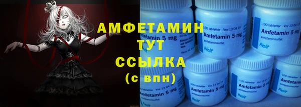 мдпв Вяземский
