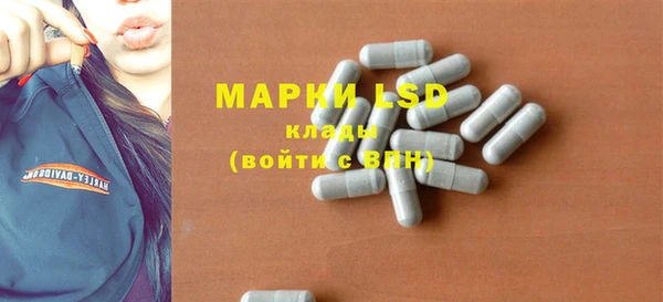 мдпв Вяземский