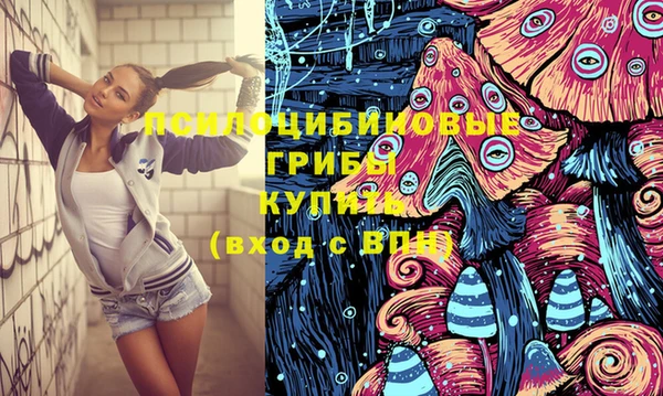 мдпв Вяземский