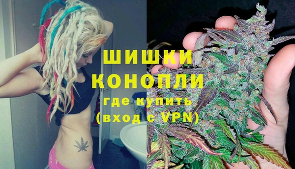 мдпв Вяземский