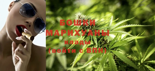 мдпв Вяземский