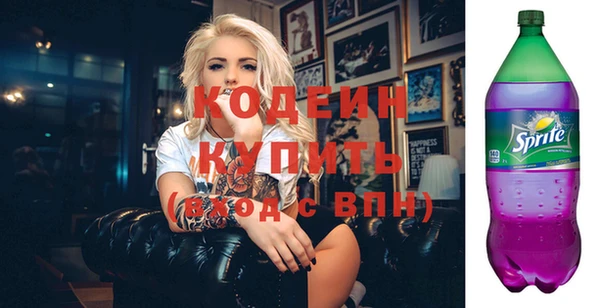 мдпв Вяземский